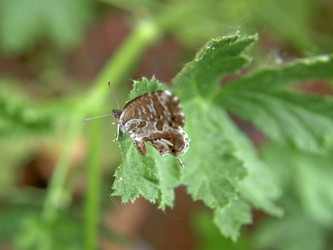 Similar image 1540876