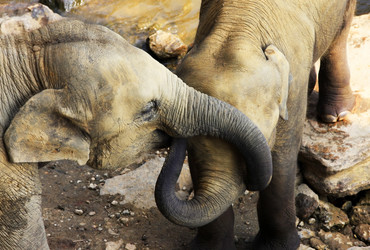 Similar image 1540905