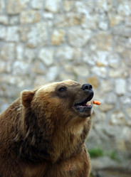 Similar image 1540907