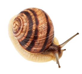 Similar image 1540912