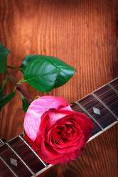 Similar image 1540915