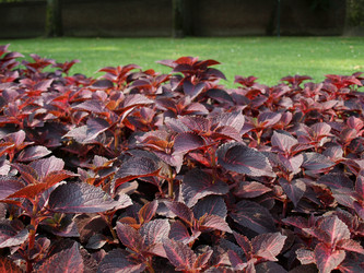 Similar image 1540917