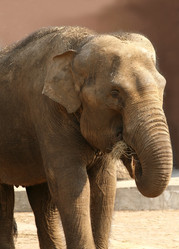 Similar image 1540961