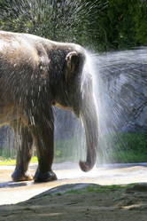 Similar image 1540962