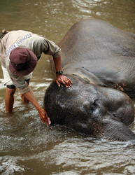 Similar image 1540968