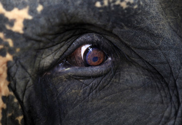 Similar image 1540971