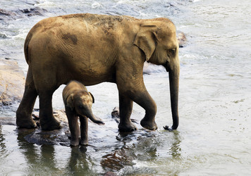 Similar image 1540974