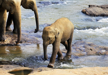 Similar image 1540975