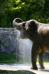 Similar image 1540976