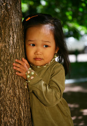 Similar image 1540983