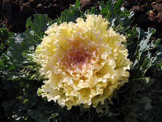 Similar image 1541009