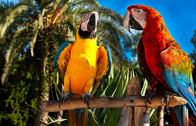 Similar image 1541019