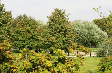 Similar image 1541024