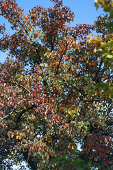 Similar image 1541025