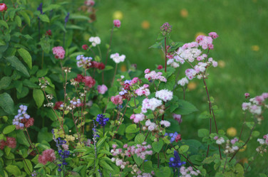 Similar image 1541026