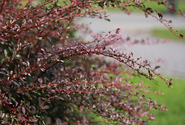 Similar image 1541027