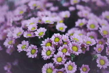 Similar image 1541030