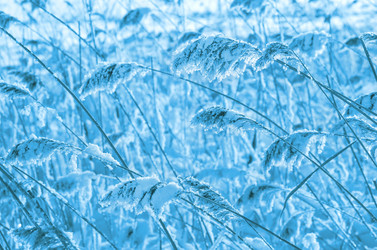 Similar image 1541033