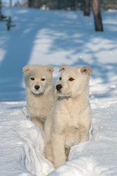 Similar image 1541034