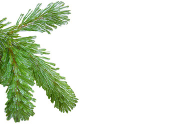 Similar image 1541035