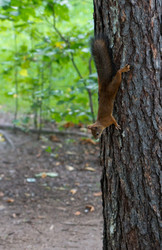 Similar image 1541039