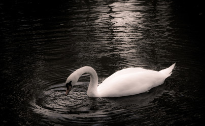 Similar image 1541057