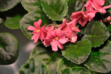 Similar image 1541141