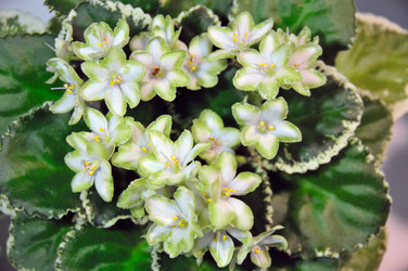 Similar image 1541143