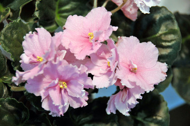 Similar image 1541145