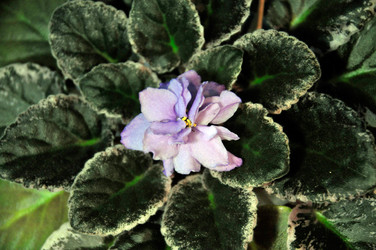 Similar image 1541148