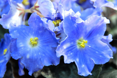 Similar image 1541149