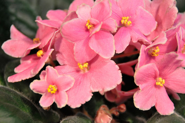 Similar image 1541154