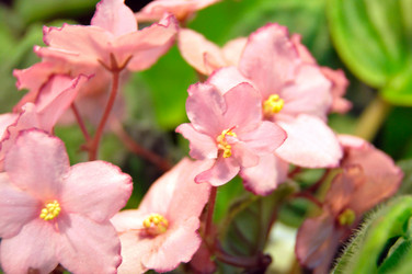 Similar image 1541156