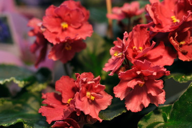 Similar image 1541201