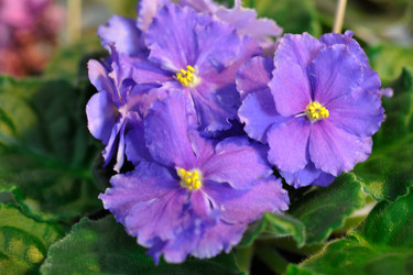 Similar image 1541202