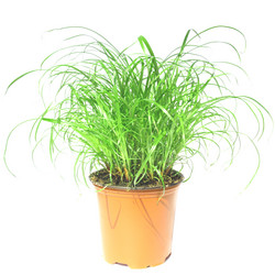 Similar image 1541214