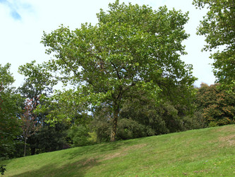 Similar image 1541233