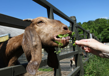 Similar image 1541242