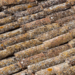 Similar image 1541278