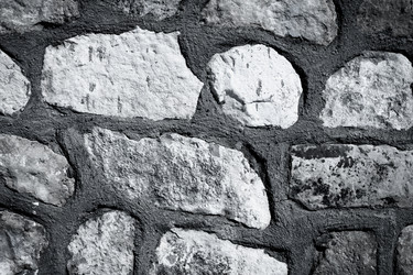 Similar image 1541289