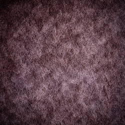 Similar image 1541294