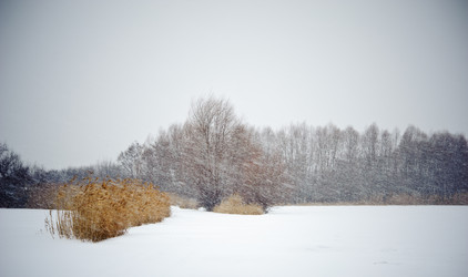 Similar image 1541304