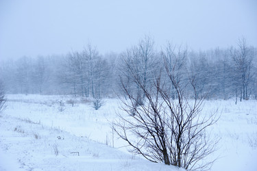 Similar image 1541306