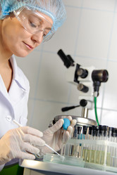 Similar image 1541314