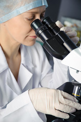 Similar image 1541323