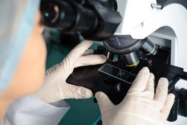 Similar image 1541325