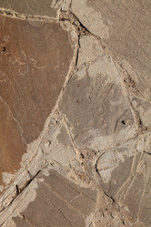 Similar image 1541340