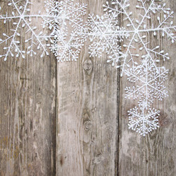 Similar image 1541344