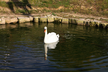 Similar image 1541348