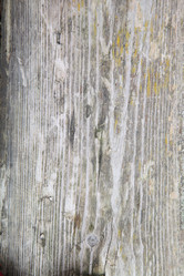 Similar image 1541350